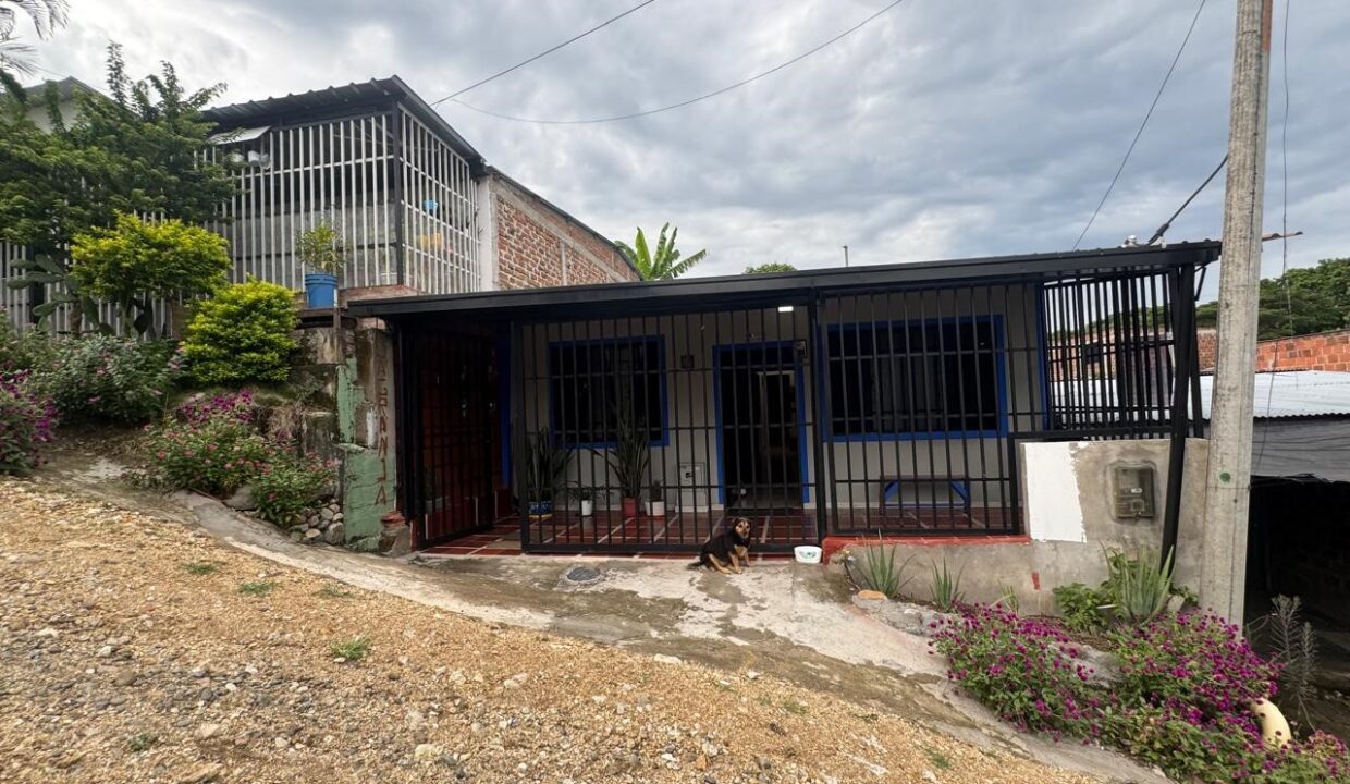 5a69ebe3-e21b-4dee-a605-3367bcffd7ad