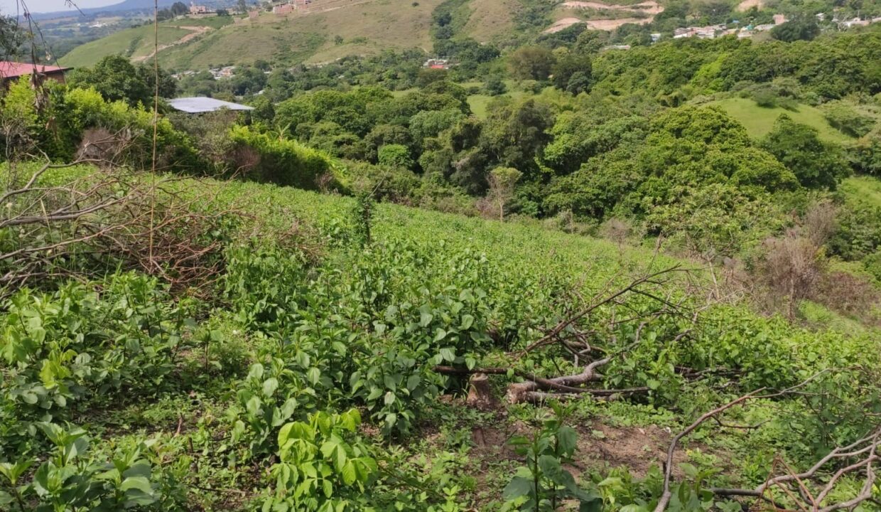 64dbbc1e-4dc4-45bb-a55e-b549bda539aa