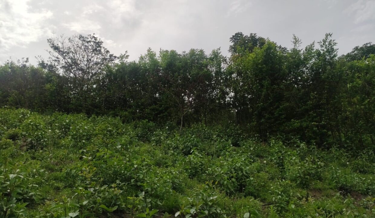 819be547-e0aa-4e2e-a17e-5a91b18c041b