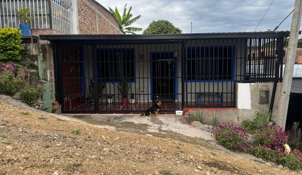 966dd949-1bca-463e-bb3b-42c6df433c1d