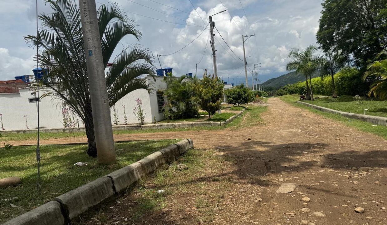 WhatsApp Image 2026-03-10 at 11.44.07 AM