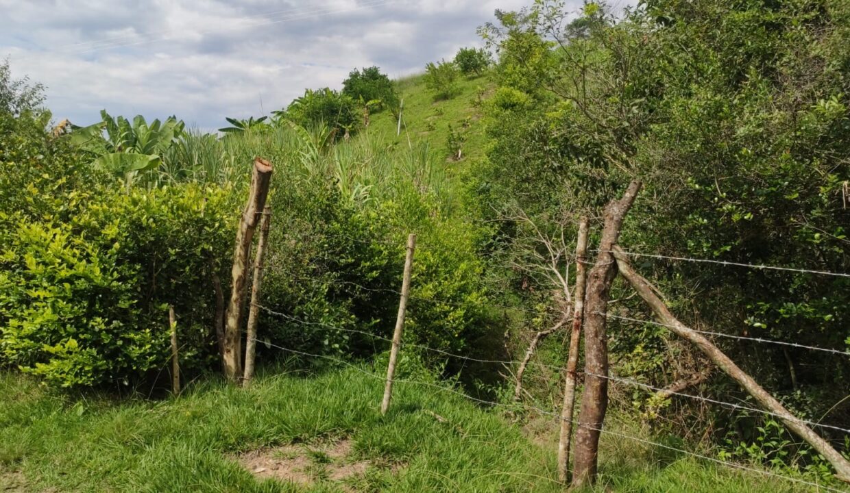 be13bb98-45f8-4739-8543-c35f44703fa7