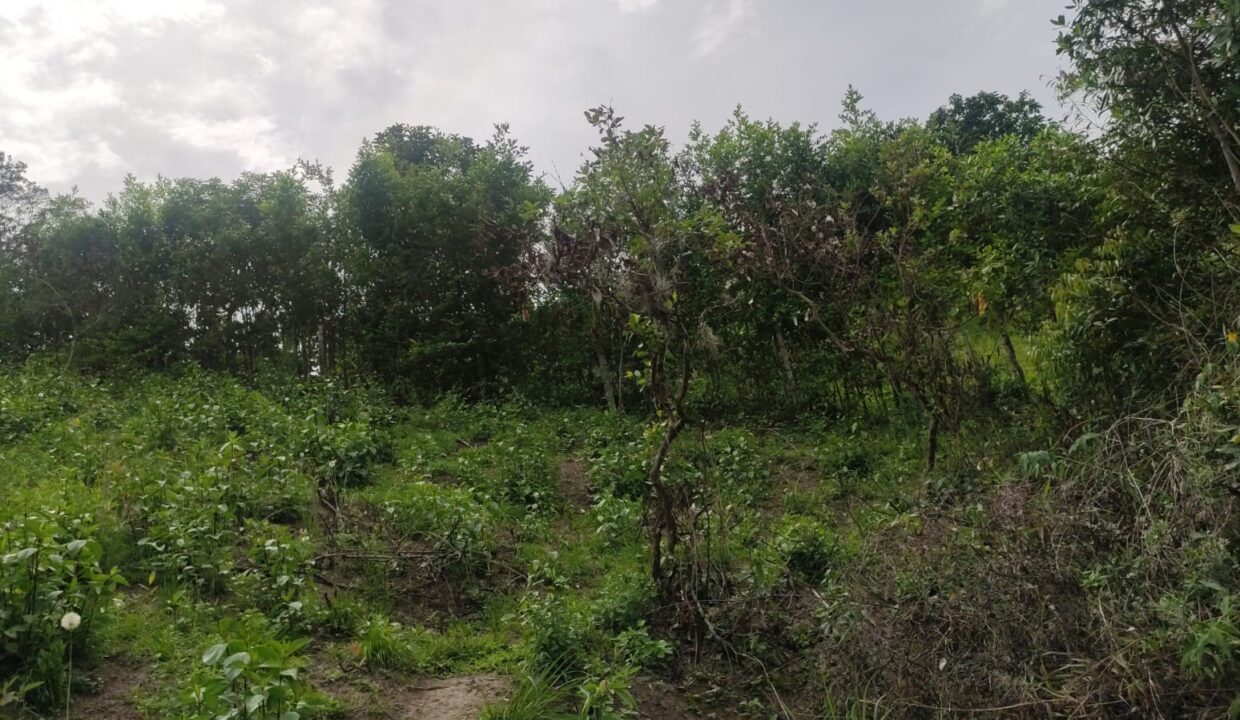 c3b0ba9b-41fa-4a1b-88c7-47a679e121aa