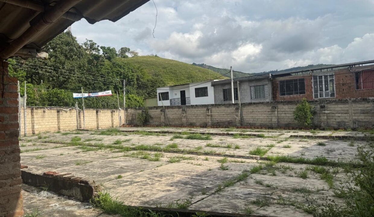 ce638fda-e297-439a-808e-d1b65bc2705a