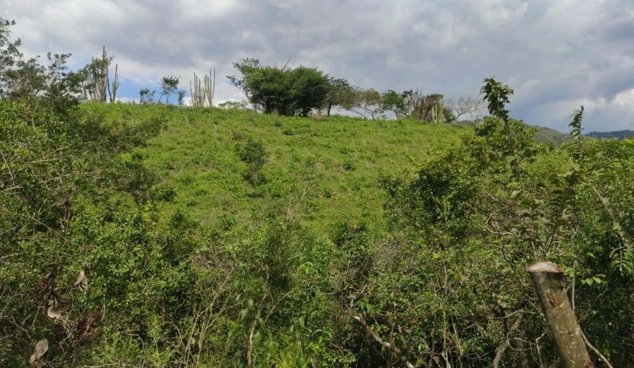 e4315be4-bf52-4b04-ae01-c47e399b67a9