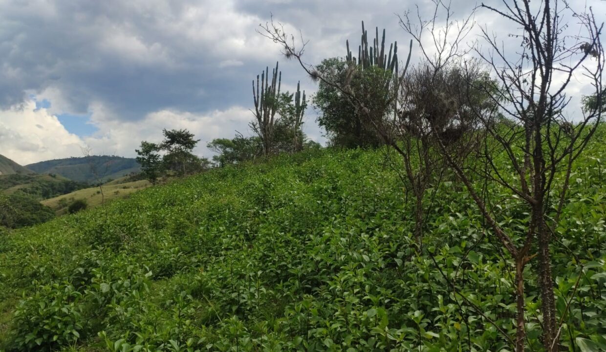 e65559be-8ad0-47b0-858b-03e26ce118d3