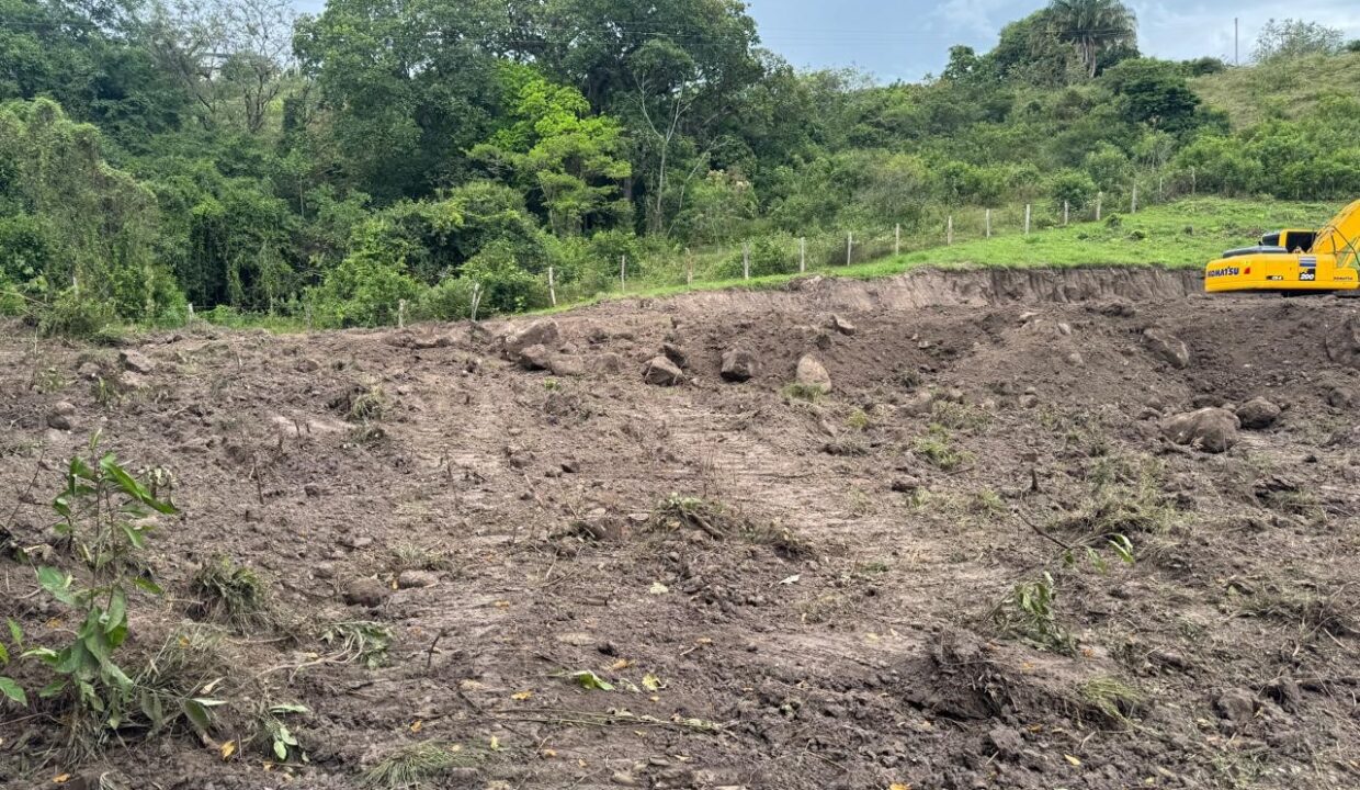 cc02c5a8-db96-4077-a825-bd27e9985e2d