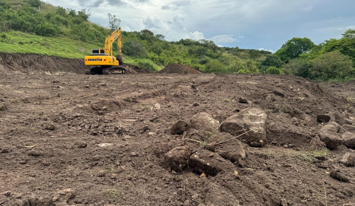 d3de1187-9c60-4dd0-8560-c2755850fa1e