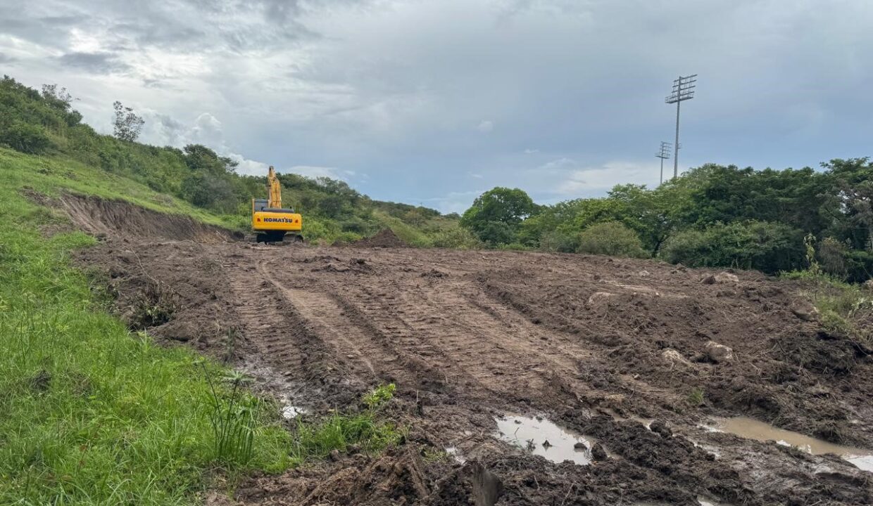 d3ede379-23ed-4294-aa8d-89dc29e3fa9b