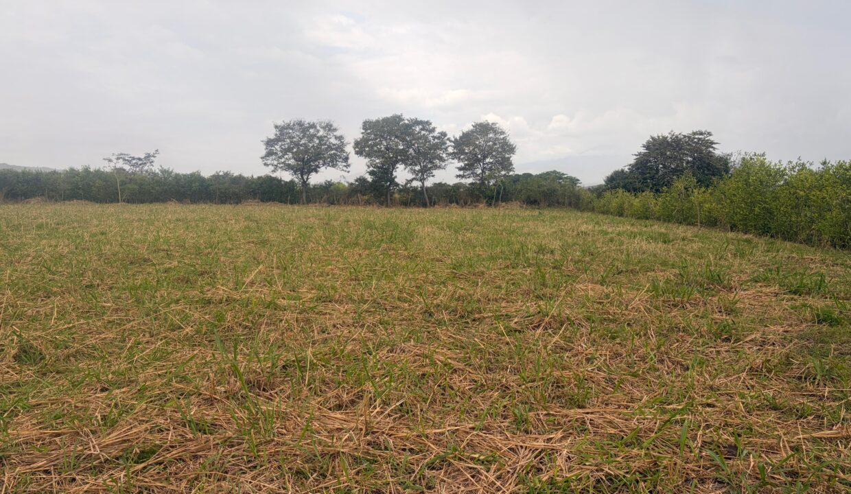 212a1779-c88b-4c02-bc8a-9802b32296e3